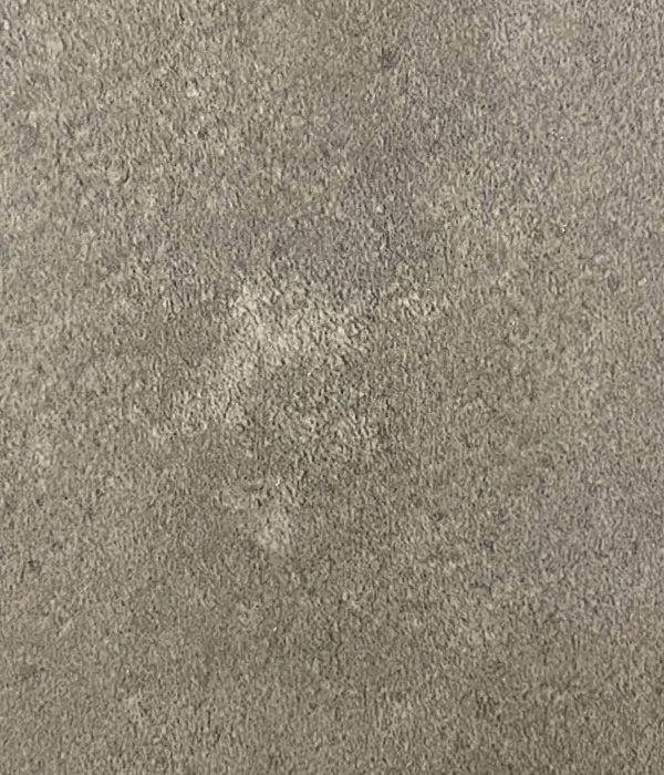 MOON - PARTICOLARE
