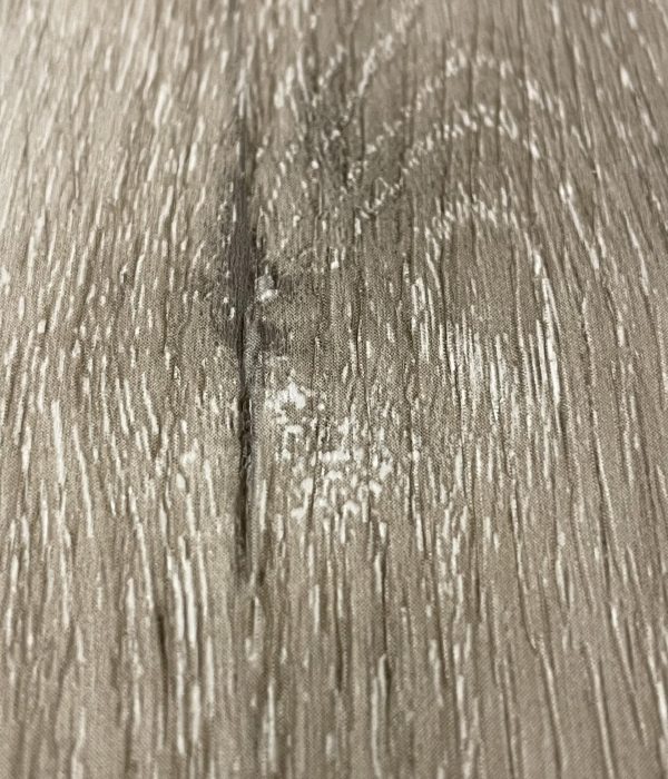 MUD - PARTICOLARE