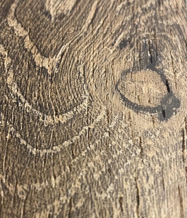 TAUPE - PARTICOLARE
